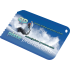 Credit Card Ice Scraper